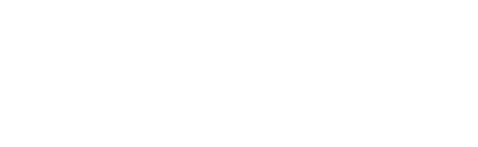 RON FITNESS